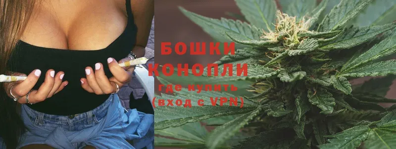 сколько стоит  Ивангород  Каннабис OG Kush 